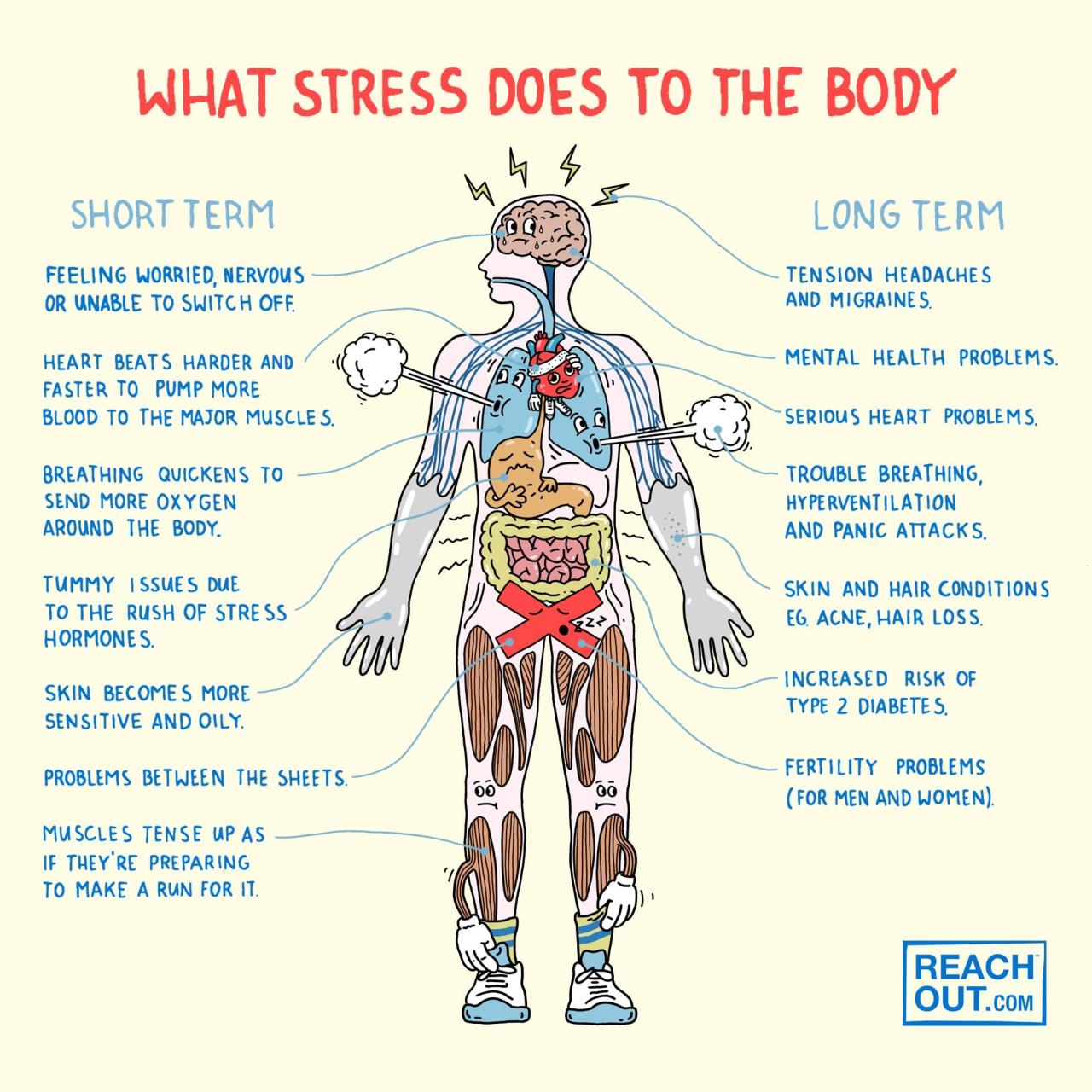 What Are The Effects Of Chronic Stress On The Body
