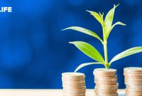 Apa Saja Cara Berinvestasi Untuk Pemula