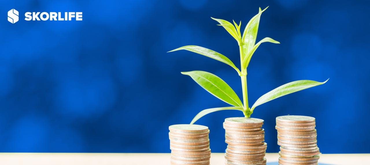 Apa Saja Cara Berinvestasi Untuk Pemula