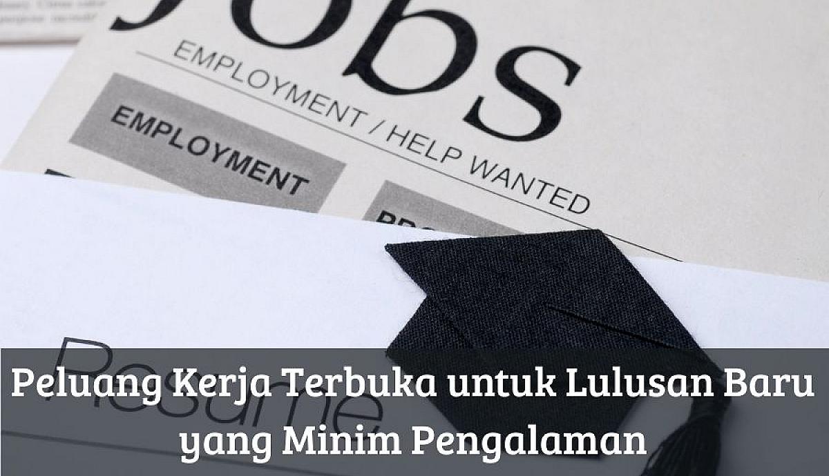 Peluang Kerja Terbaik Untuk Lulusan Baru